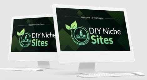 DIY Niche Sites Review